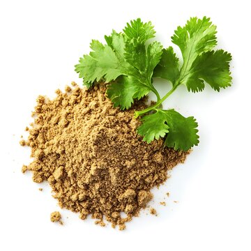 Coriander Powder